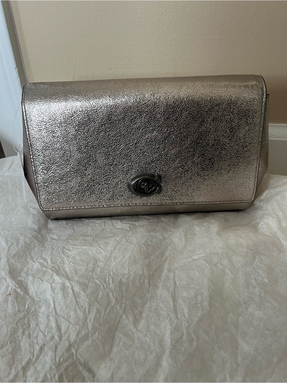 Coach Metallic Silver Leather Crossbody Clutch